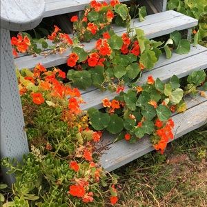 Meet your Posher, Ashli